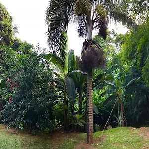 La Nature , О-Кап Сейшельские острова